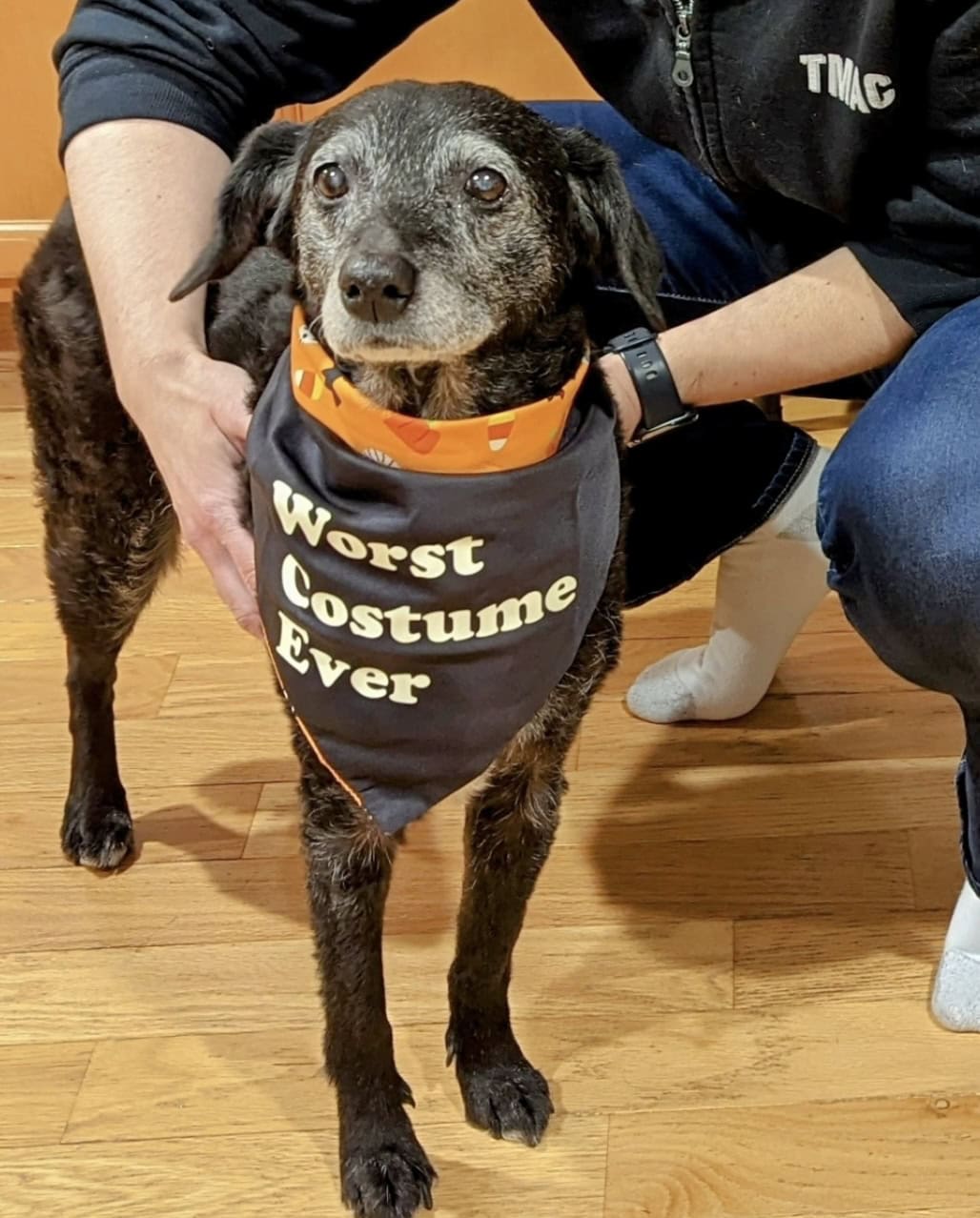 worst costume ever in bow, nh